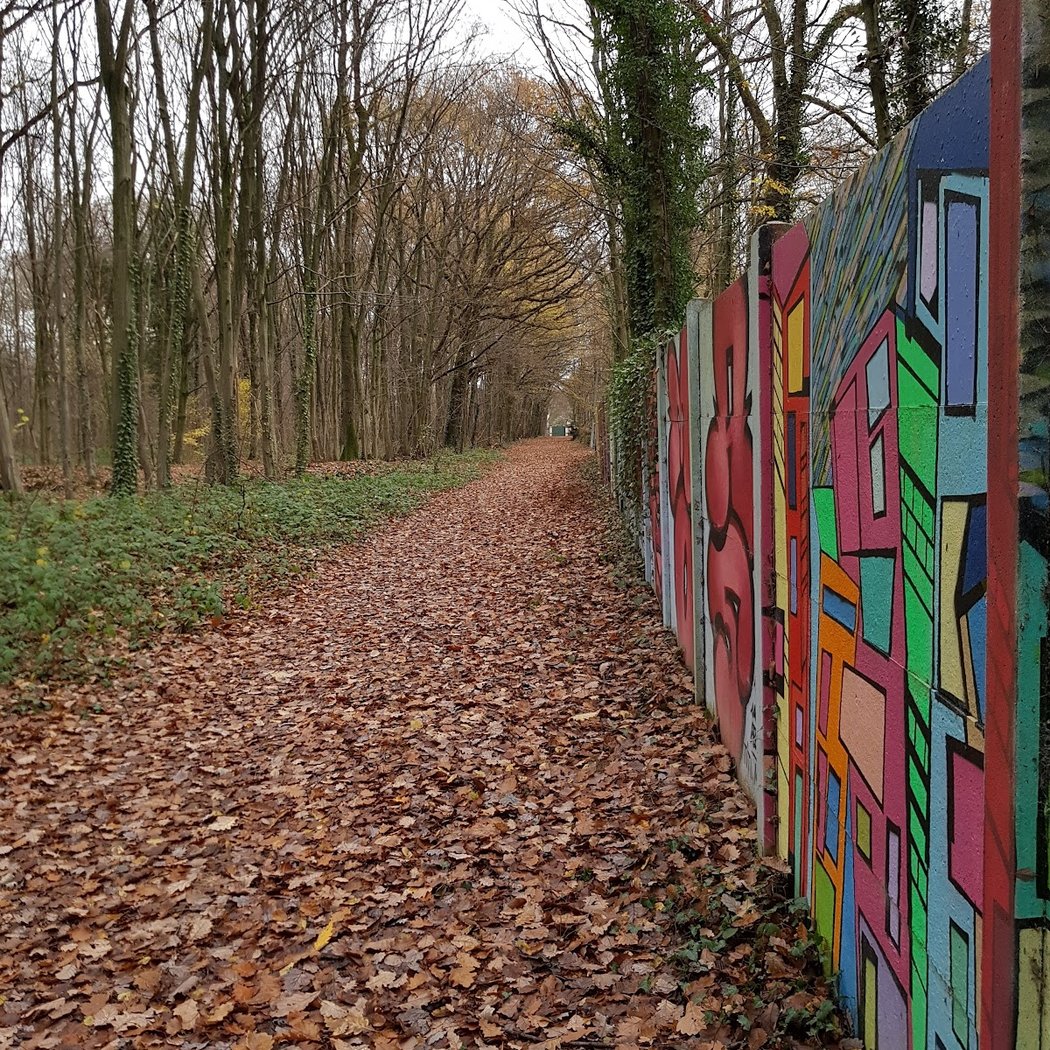 Chigny Woods 2